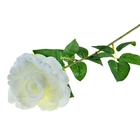 цветы искусственные 68 см, d-10 см роза белая - Фото 1