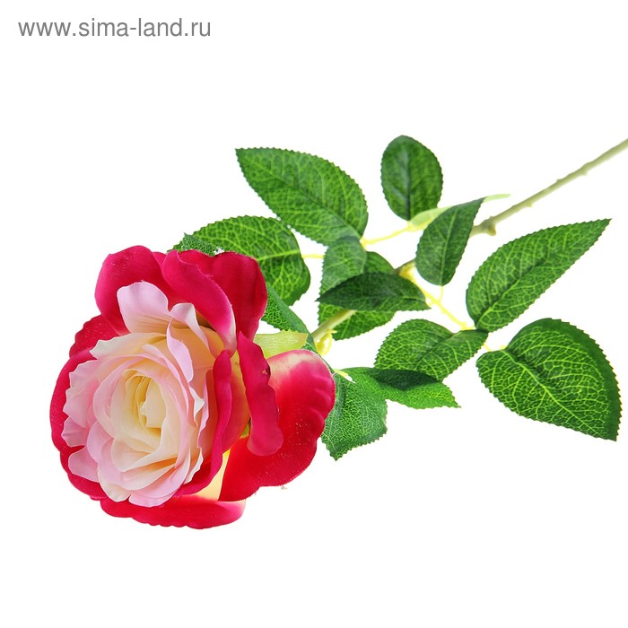 цветы искусственные 68 см, d-10 см роза розово-малиновая - Фото 1