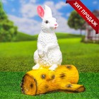Садовая фигура из гипса «Зайка на бревне», 44×18×27 см - Фото 4