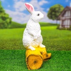Садовая фигура из гипса «Зайка на бревне», 44×18×27 см - Фото 7