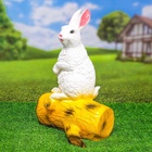 Садовая фигура из гипса «Зайка на бревне», 44×18×27 см - Фото 5
