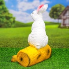Садовая фигура из гипса «Зайка на бревне», 44×18×27 см - Фото 6