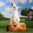 Садовая фигура из гипса «Зайка на бревне», 44×18×27 см - Фото 3