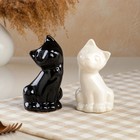 Набор для специй "Котятки", 2 предмета, черно-белый, керамика, 12.5 см - Фото 1
