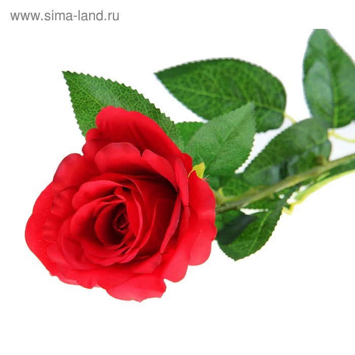 цветы искусственные 68 см, d-10 см роза красная - Фото 1