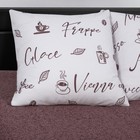 Постельное бельё евро Артпостель «Мокко», 200х215, 215х240, 70х70см - 2шт - фото 25396240