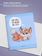 Тетрадь 48 листов в клетку, Calligrata «Лисички», серые листы, МИКС - Фото 2