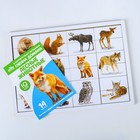 Карточки Домана с пазлами «Лесные животные» - Фото 1