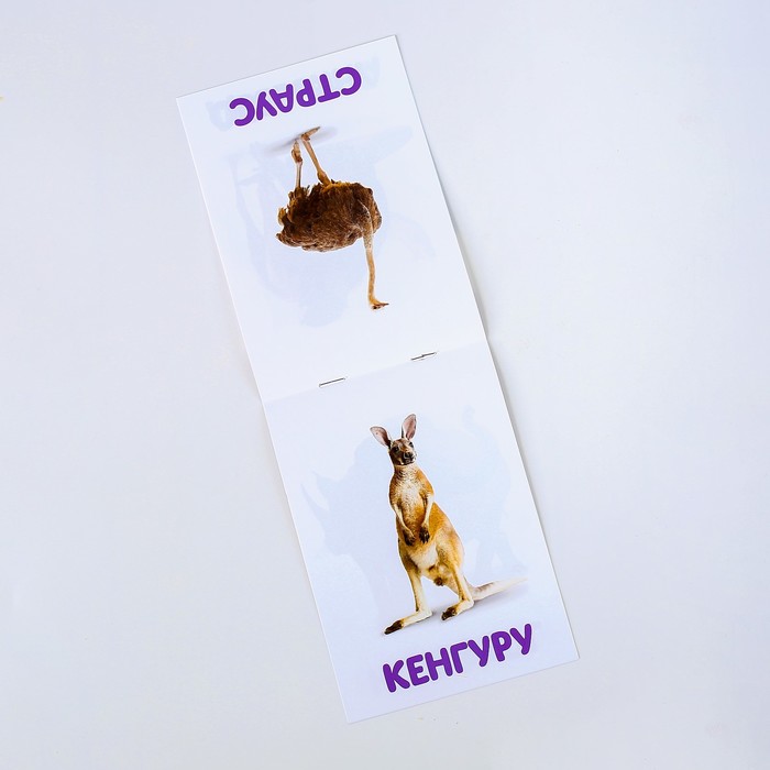 Карточки Домана с пазлами «Зоопарк» - фото 1896827474