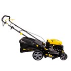 Газонокосилка CHAMPION LM5131, самоходная, 4.1 л.с., 3 кВт, шир./выс. 501/25-75 мм, 60 л  (артикул 5000154)  большой выбор товаров оптом и в розницу по низким ценам с доставкой