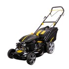 Газонокосилка CHAMPION LM5345, самоходная, 6 л.с., 4.4 кВт, шир./выс. 530/25-75 мм, 75 л  (артикул 5000155)  большой выбор товаров оптом и в розницу по низким ценам с доставкой