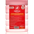 Антисептик для рук Fortela, спиртовой, 1 л - Фото 2