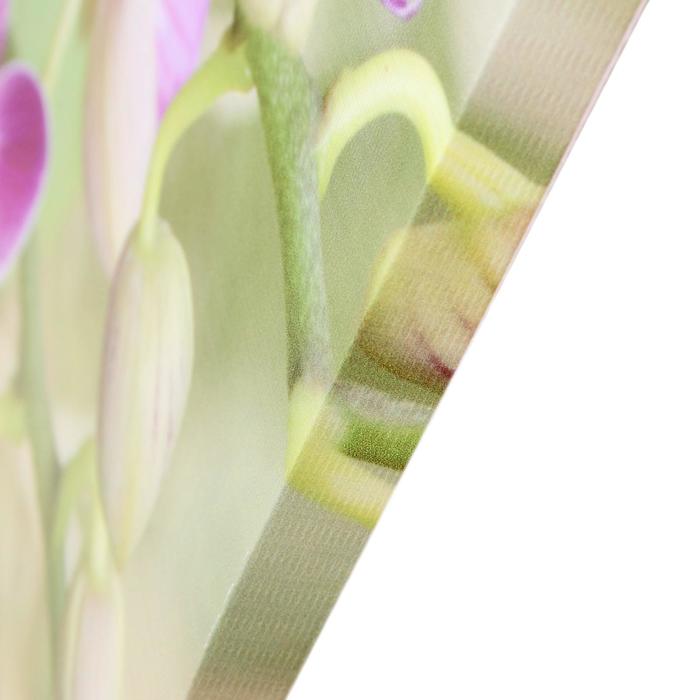 Модульная картина "Веточка орхидеи" (3-35х35) 35х105 см - фото 1893882557