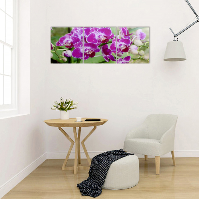 Модульная картина "Веточка орхидеи" (3-35х35) 35х105 см - фото 1893882559