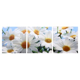 Модульная картина "Белые ромашки" (3-35х35) 35х105 см