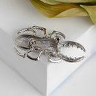 Брошь «Жук» олень, цвет чёрный в серебре - Фото 2