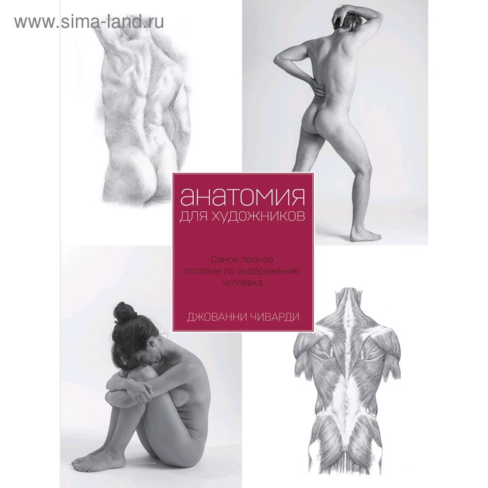Анатомия для художника. Самое полное пособие по изображению человека. Чиварди Д.