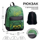 Рюкзак молодёжный, 38 х 28 х 19 см, эргономичная спинка, Calligrata Э "Енот", зелёный - фото 8987126