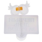 Табличка на присоске «Первый день за рулём» - Фото 2