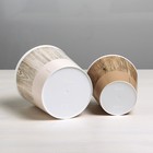 Набор кашпо для цветов 2 в 1 «Дерево», 0,8 и 1,6 л, 11 х 12 и 14 х 14 см - Фото 5