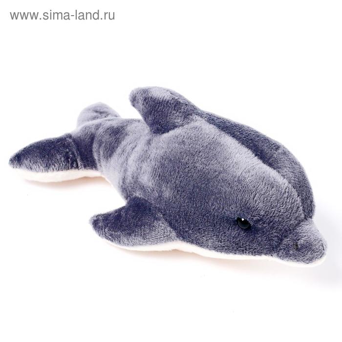 Мягкая игрушка «Дельфин», 20 см - Фото 1