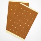 Пластырь монастырский «При простуде», «Солох-аул», 2 шт. - Фото 2