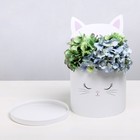 Коробка подарочная шляпная для цветов с доп. элементом, упаковка, «Белый котик», 22 х 22 см - фото 8987466