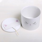 Коробка подарочная шляпная для цветов с доп. элементом, упаковка, «Белый котик», 22 х 22 см 4795216