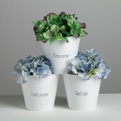 Набор кашпо 3 в 1 Please grow, 0.8 л, 11×12 см