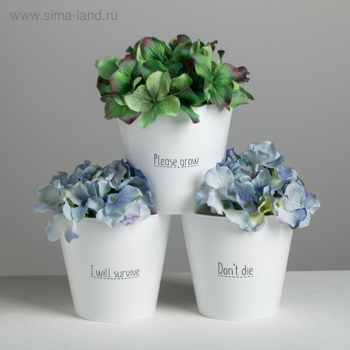 Набор кашпо 3 в 1 Please grow, 0.8 л, 11×12 см - Фото 1