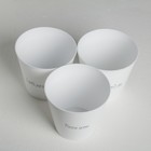 Набор кашпо 3 в 1 Please grow, 0.8 л, 11×12 см - фото 61528591