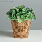 Кашпо для цветов «Эко», 800 мл, d=11 см, h=12 см, пластиковое 4840662 - фото 319940708