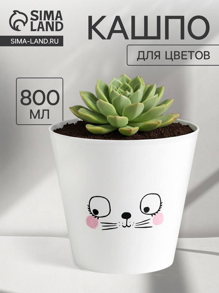 Кашпо для цветов «Мордочка», 800 мл, d=12 см, h=11 см, пластиковое - Фото 1