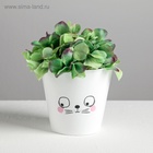 Кашпо для цветов «Мордочка», 800 мл, d=11 см, h=12 см, пластиковое (2 шт) - фото 809296831