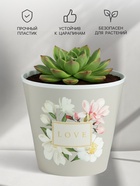 Кашпо для цветов Love, 800 мл, d=11 см, h=12 см, пластиковое (2 шт) - фото 809296848