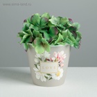 Кашпо для цветов Love, 800 мл, d=11 см, h=12 см, пластиковое (2 шт) - фото 809296849