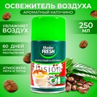 Освежитель воздуха Master FRESH, сменный баллон Ароматный капучино 250 мл - Фото 1
