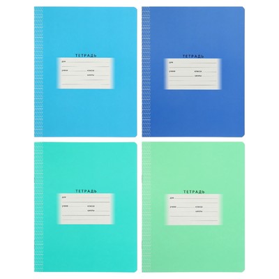 Тетрадь 12 листов в частую косую линейку, с дополнительной горизонтальной линией, МИКС