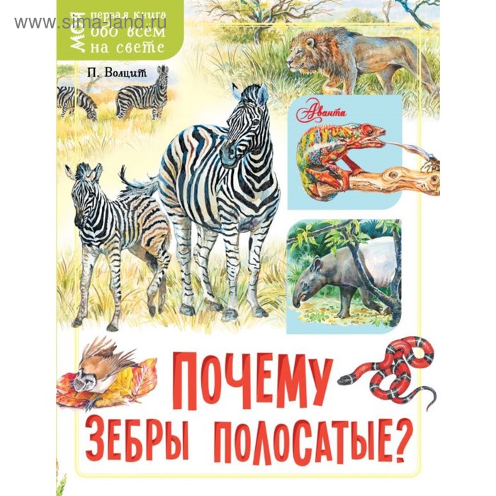 «Почему зебры полосатые?», Волцит П.М., 48 стр. - Фото 1