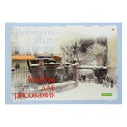 Альбом для рисования А4, 40 листов на клею "Профессиональная серия", обложка картон, блок 150 г/м2, МИКС - фото 294909253