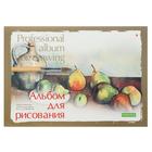 Альбом для рисования А4, 40 листов на клею "Профессиональная серия", обложка картон, блок 150 г/м2, МИКС - фото 7893216