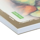 Альбом для рисования А4, 40 листов на клею "Профессиональная серия", обложка картон, блок 150 г/м2, МИКС - Фото 4