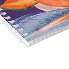Блокнот А5, 40 листов на гребне "Цветы" Паттерн, обложка ламинированный картон, блок 55 г/м2, МИКС - Фото 4