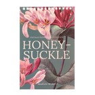 Блокнот А5, 40 листов на гребне «Цветы» Паттерн, обложка ламинированный картон, блок 55 г/м², МИКС - Фото 8