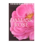 Блокнот А5, 40 листов на гребне «Цветы» Паттерн, обложка ламинированный картон, блок 55 г/м², МИКС - Фото 9