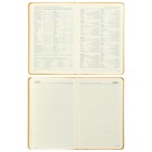 Ежедневник недатированный А6 (87 х 131 мм), 100 листов Megapolis, твёрдая обложка, искусственная кожа, золото - Фото 8