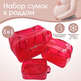 Набор сумок в роддом, 3 шт, цвет прозрачный/красный, M&B