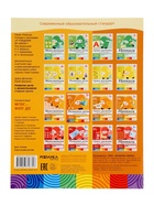 Рабочие тетради «Математика, прописи, развитие речи, уроки грамоты» 5+, набор 4 шт., МИКС - Фото 7