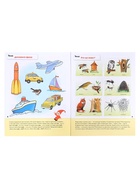 Рабочие тетради «Математика, развитие речи, прописи, уроки грамоты», подготовительная группа 6+, набор 4 шт. - Фото 6