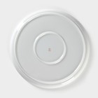 Блюдо Добрушский завод «Гуси», d=30 см, фарфор, белое - Фото 4